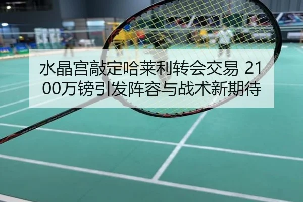 水晶宫敲定哈莱利转会交易 2100万镑引发阵容与战术新期待