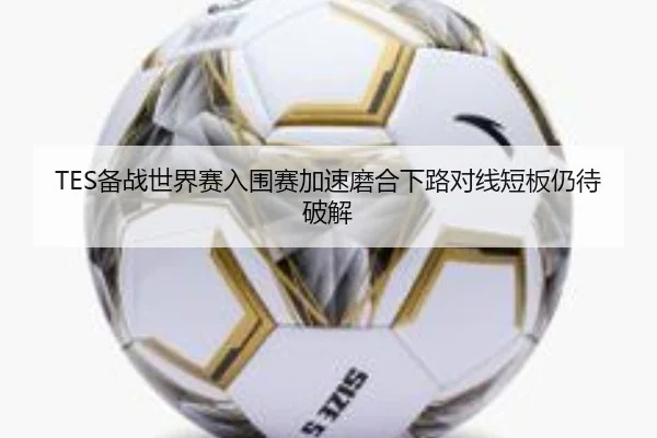 TES备战世界赛入围赛加速磨合下路对线短板仍待破解