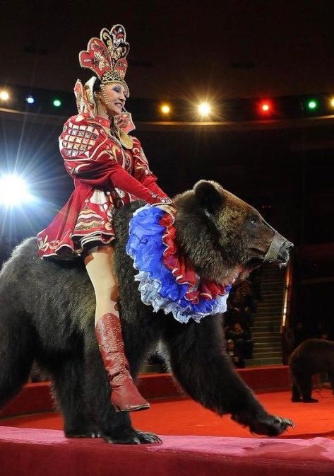 Russian Circus - Royal Russia Travel Agency