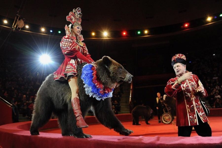 Russian Circus - Royal Russia Travel Agency